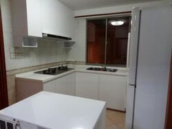 Parc Vista (D22), Condominium #475136631